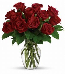 Enduring Passion - 12 Red Roses from Weidig's Floral in Chardon, OH